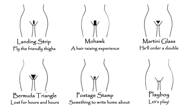 different pubic hair styles